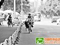 漳州独行侠蛰伏7年后再出发 欲单车“裸游”东南亚