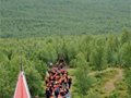 瑞典北极狐穿越：2000名徒步爱好者出发