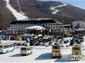 长春-北大壶滑雪直通车全线开通 冰雪盛宴来袭