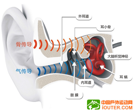 AfterShokz骨传导耳机爱耳日大促，听力健康get3